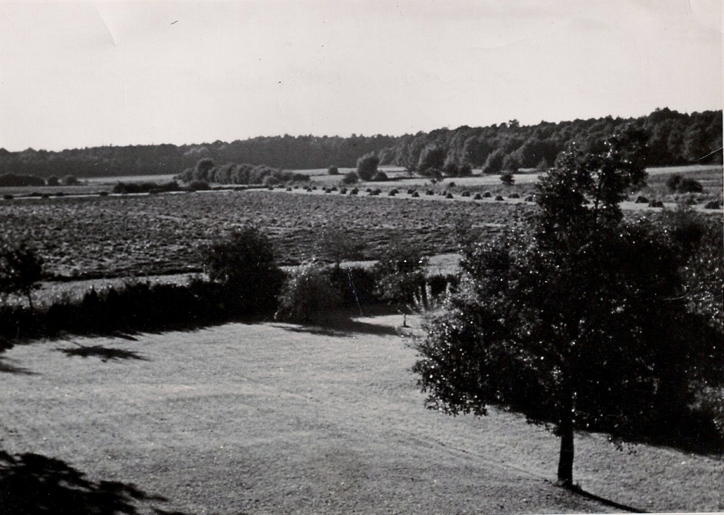 Blick aus Wohnzimmer, Gut Lohne (jetzt Golfplatz)